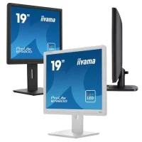 iiyama ProLite B19: Monitor LCD Ergonomico da 19'' Versatile